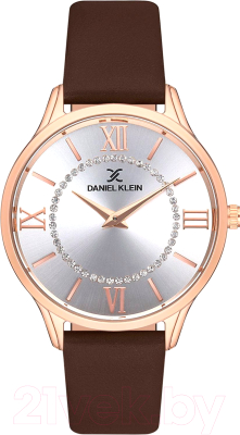 Часы наручные женские Daniel Klein 12966-3