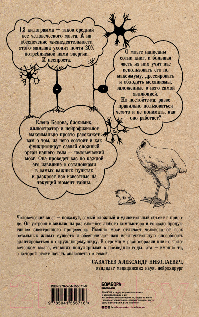 Нехудожественная книга Эксмо Автостопом по мозгу. Когда вся вселенная у тебя в голове (Белова Е.) — фото 2