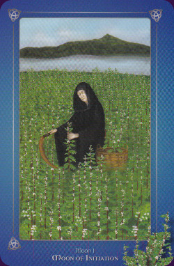 Изображение товара Гадальные карты Schiffer Publishing The Avalonian Oracle / SP110