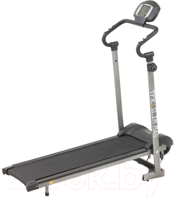 EverFit TFK Slim Mag/516GASLIMMAG Магнитная беговая дорожка купить в ...