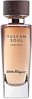Туалетная вода Salvatore Ferragamo Tuscan Soul Terra Rossa (75мл) - 