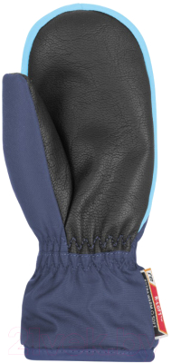 Варежки лыжные Reusch Ben Mitten Dress / 4685408-4503 (р-р 2, Blue/Bachelor Button)