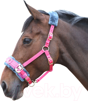 Кавессон для лошади Shires COB / 4168/PINK/COB (розовый)