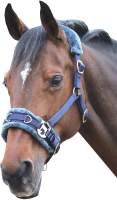 

Кавессон для лошади Shires, Full / 4168/NAVY/FULL