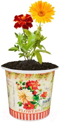 Набор для выращивания растений Rostokvisa Цветочная смесь / 87624