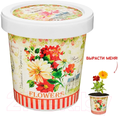 Набор для выращивания растений Rostokvisa Цветочная смесь / 87624