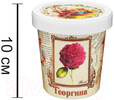 Набор для выращивания растений Rostokvisa Георгина / T1502