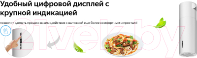 Изображение товара Вытяжка коробчатая Weissgauff Ambra WH