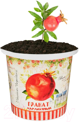 Набор для выращивания растений Rostokvisa Гранат карликовый / 06862