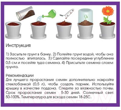 Набор для выращивания растений Rostokvisa Незабудка / 18624