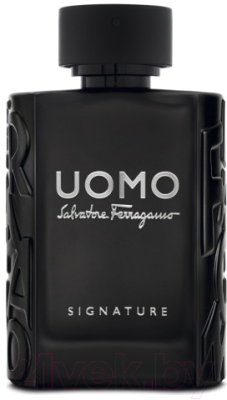 Парфюмерная вода Salvatore Ferragamo Uomo Signature (100мл)
