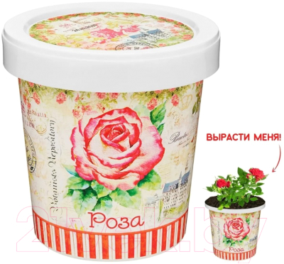 Набор для выращивания растений Rostokvisa Роза китайская / 02098