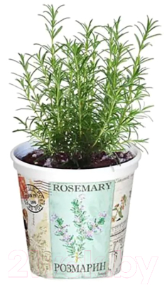 Набор для выращивания растений Rostokvisa Розмарин / q1491