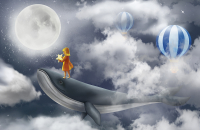 

Фотообои бесшовные Citydecor, Звездная ночь