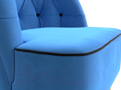 Кресло мягкое Mebelico Амиса 306 / 110040 (велюр голубой/кант черный)