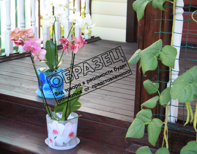 Изображение товара Кашпо Idea Деко М3106 (орхидея)