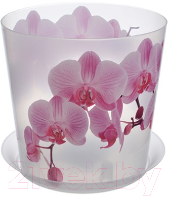 Изображение товара Кашпо Idea Деко М3106 (орхидея)