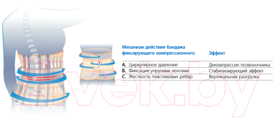 Изображение товара Корсет ортопедический пояснично-крестцовый Польза м.1104 тип 321-I (р.5, белый)
