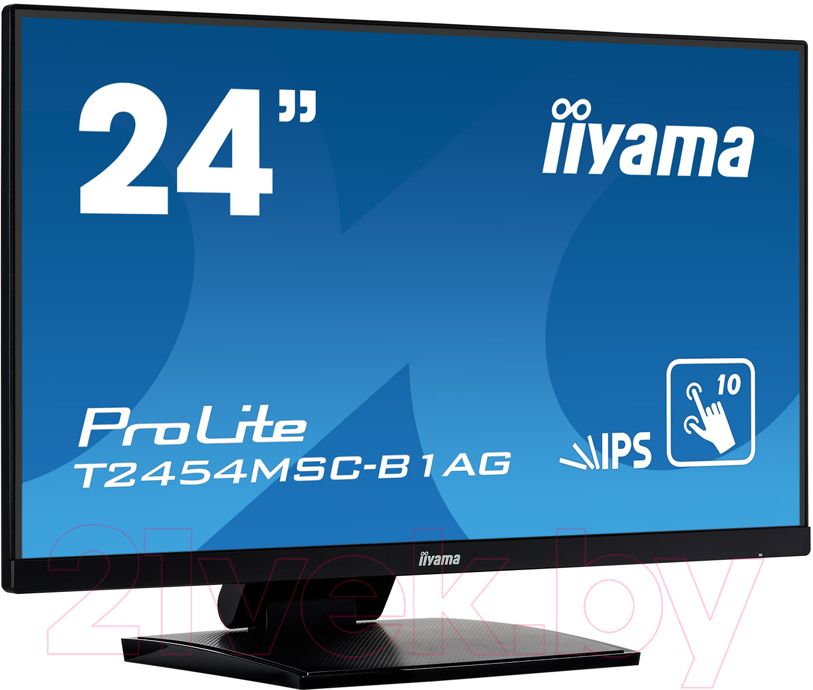 Монитор Iiyama ProLite T2454MSC-B1AG