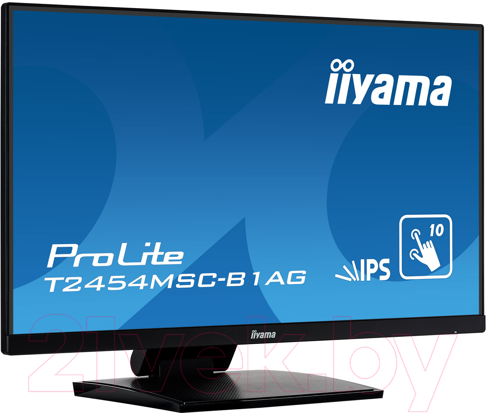 Монитор Iiyama ProLite T2454MSC-B1AG