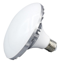 Лампа FST L-E27-LED 50Вт 5500 К / ут-00000283 - 