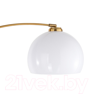 Торшер Arte Lamp Paolo A5822PN-1PB