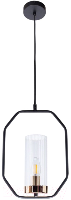 Потолочный светильник Arte Lamp Celaeno A7004SP-1BK