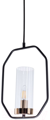 Потолочный светильник Arte Lamp Celaeno A7004SP-1BK