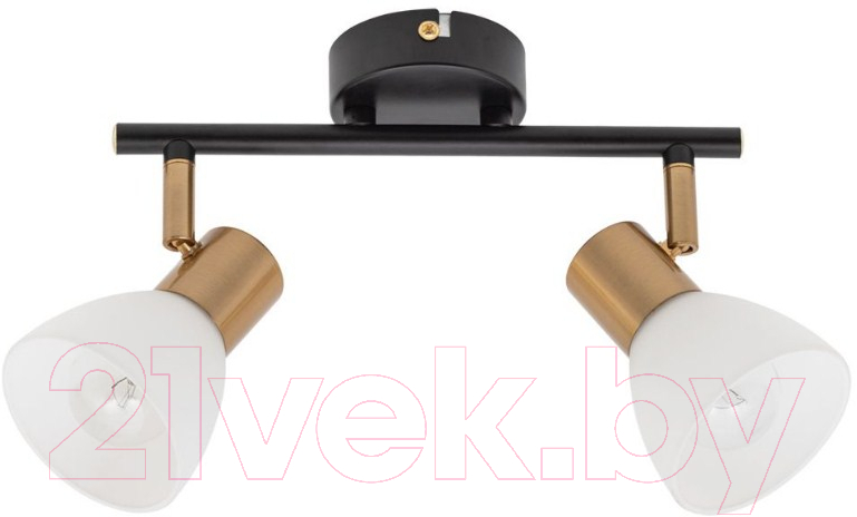 Спот Arte Lamp Falena A3117PL-2BK