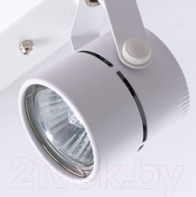 Спот Arte Lamp Mizar A1311PL-2WH