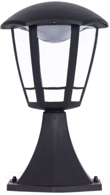 Светильник уличный Arte Lamp Enif A6064FN-1BK