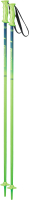 Горнолыжные палки Elan 2021-22 Youth Rockrod Jr / CD813121 (р.95, зеленый) - 
