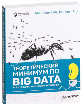 Книга Питер Теоретический минимум по Big Data (Ын А., Су К.)