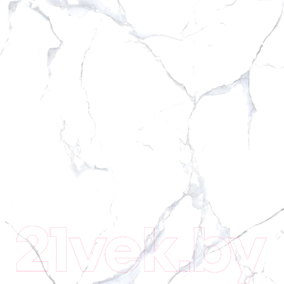 Плитка Netto Alpine Carrara Polished (800x800)