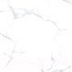 Плитка Netto Alpine Carrara Polished (800x800) - 