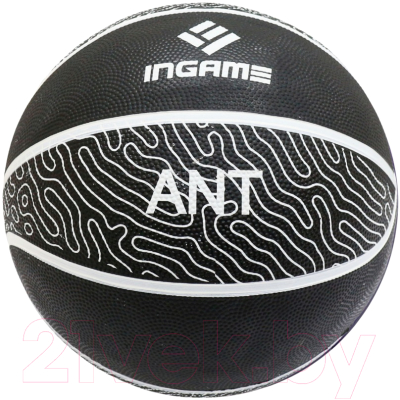 Баскетбольный мяч Ingame Ant №7 (черный/серый)