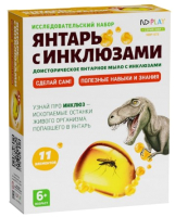 

Набор для опытов ND Play, Янтарь с инклюзами / NDP-073