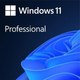 Операционная система Microsoft Windows 11 Pro 64Bit Russian 1PK DSP OEI DVD (FQC-10547) - 