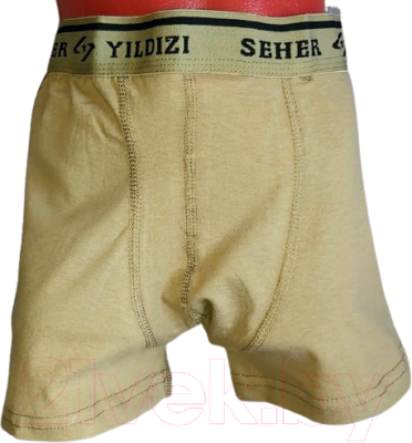 Трусы мужские Seher 60 (р.52-54, хаки)