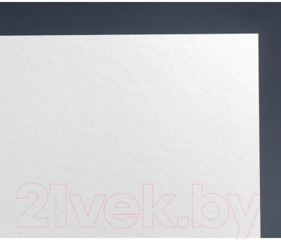 Набор бумаги для рисования Малевичъ White Swan / 401442 (20л)