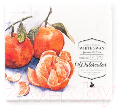 Набор бумаги для рисования Малевичъ White Swan / 401442 (20л)