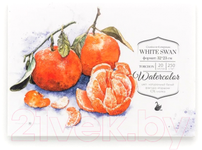Альбом для рисования Малевичъ White Swan / 401444 (20л)