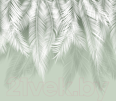 Фотообои листовые Citydecor Пальмовые листья (300x260, олива)