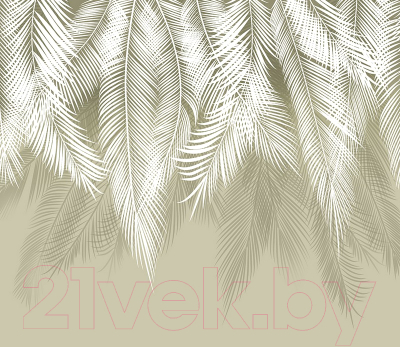 Фотообои листовые Citydecor Пальмовые листья 2 (300x260, олива)