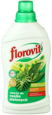 Удобрение Florovit для зеленых растений (жидкое, 1кг)