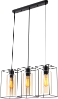 

Потолочный светильник Toplight, Robyn TL1176H-03BK
