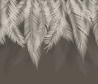 Фотообои листовые Citydecor Пальмовые листья (300x260, графит) - 