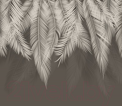 Фотообои листовые Citydecor Пальмовые листья (300x260, графит)