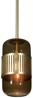 Потолочный светильник Loftit Hudson 10098P