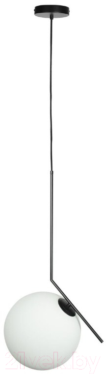 Потолочный светильник Loftit Icl 2579-B
